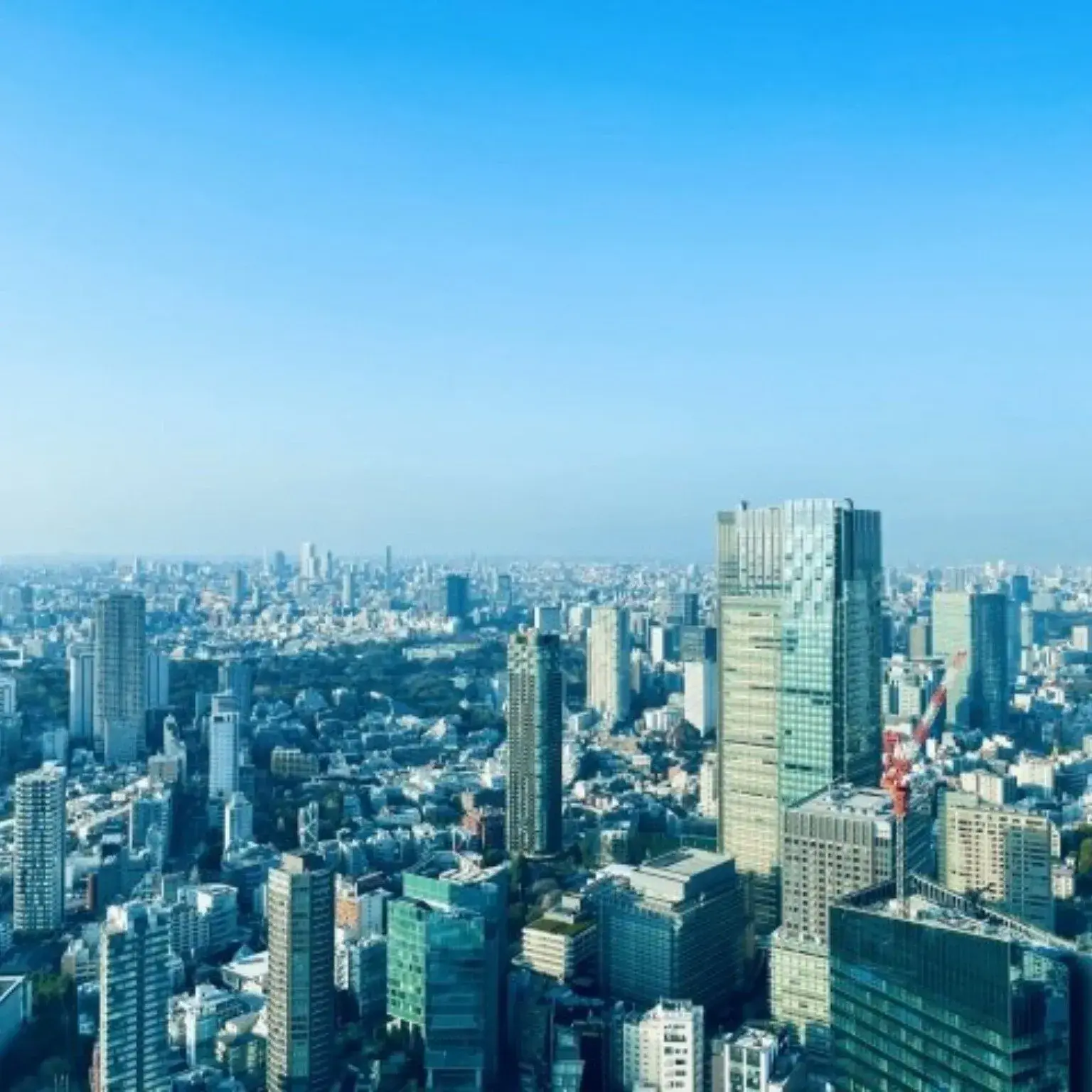 Horie Takafumi Đừng chỉ dự đoán tương lai mất mát