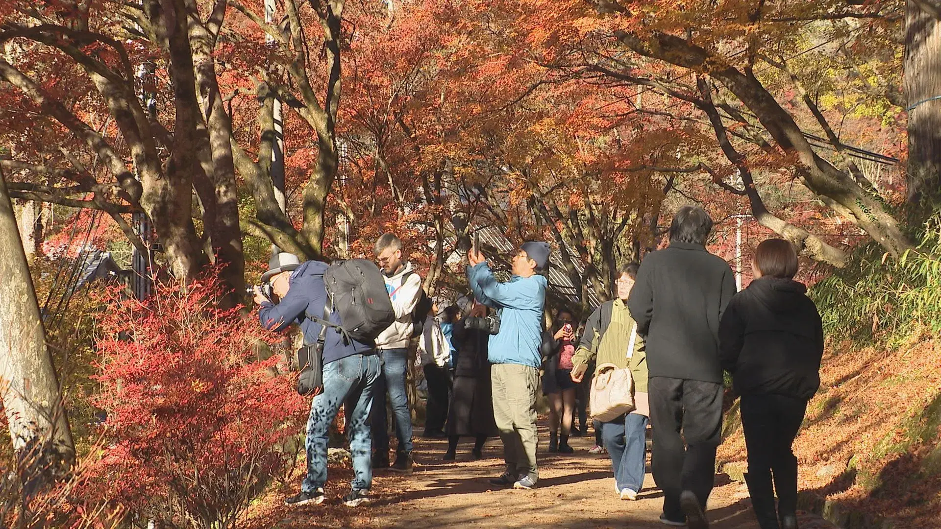 Korankei Lá đỏ đẹp, khách Trung Quốc có thay đổi?