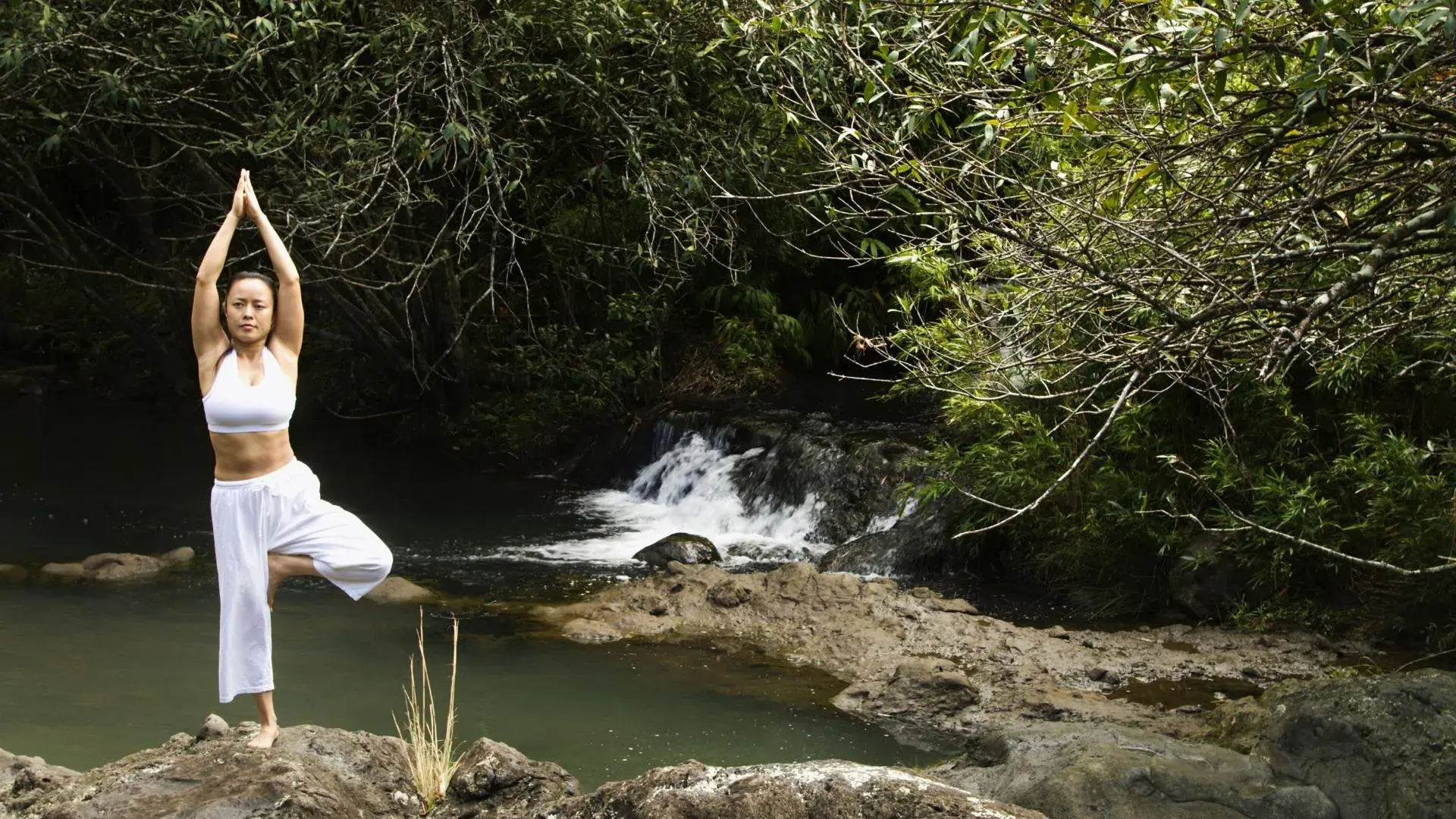 Kỳ nghỉ wellness Đẹp, sống thọ và giảm cân vui vẻ