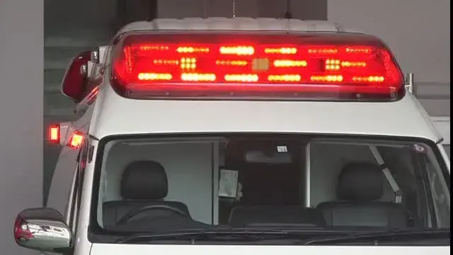 Người đàn ông 23 tuổi bị ô tô đâm trọng thương tại Ehizen