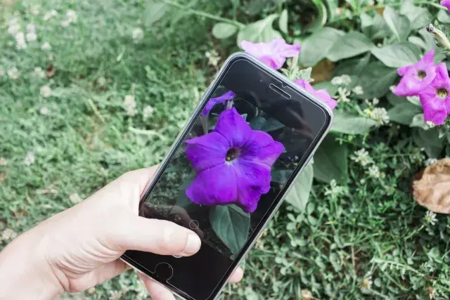 Sử dụng Google Lens biến điện thoại thành sách tra cứu