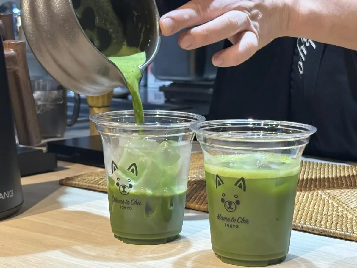 Tiệm Trà Matcha 'Đậu và Trà' Mở tại Hong Kong