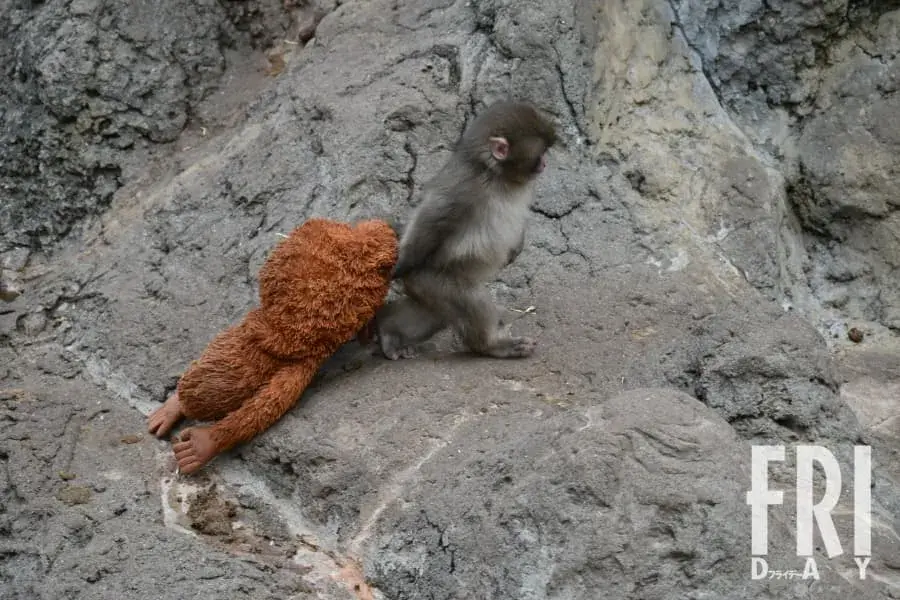 Tin tức xã hội Việt Nam và thế giới